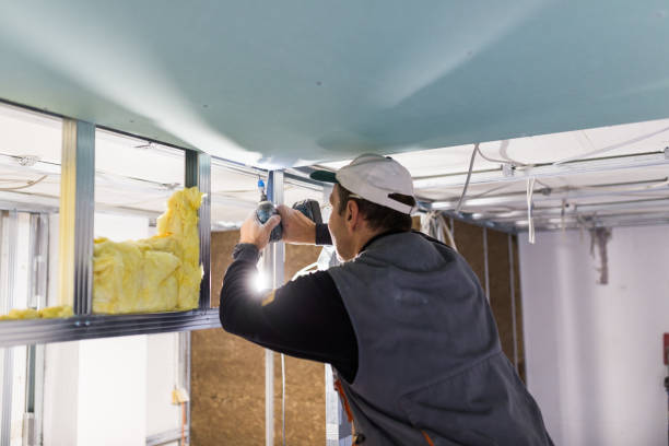 Best Eco-Friendly Insulation in Butler, MO