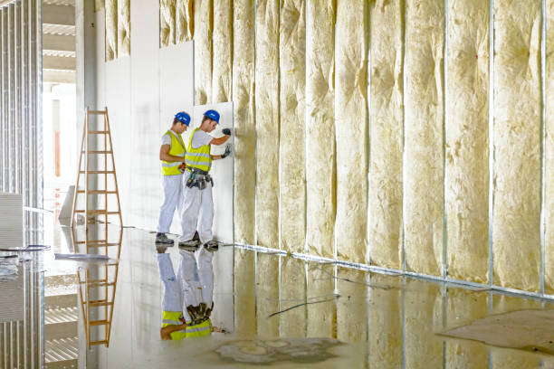 Best Insulation for Specific Applications in Butler, MO